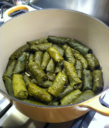 Dolmas 013